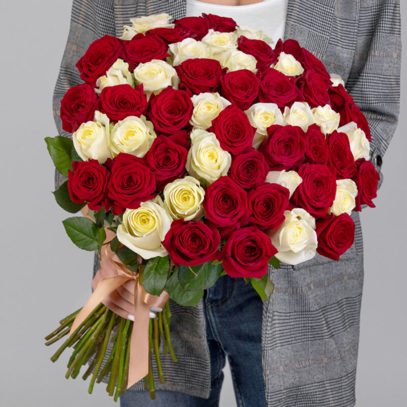 51 Красно-Белая Роза